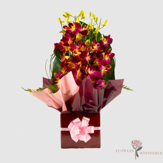 Orchid Posy Box